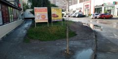 Администрации Краснодара предложили заложить тротуарной плиткой земельный участок в Молодежном микрорайоне